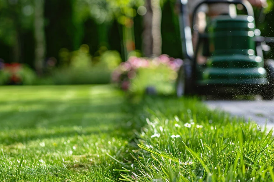 self propeled lawn mower